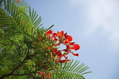 《神力科莎：竞速》挑战者DLC 已于3月23日正式推出 售价48元